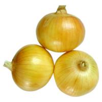 cebula3