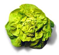 salata