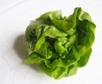 salata2