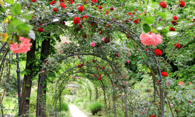 Pergola, fontanna, latarnie, czyli dekorujemy ogród