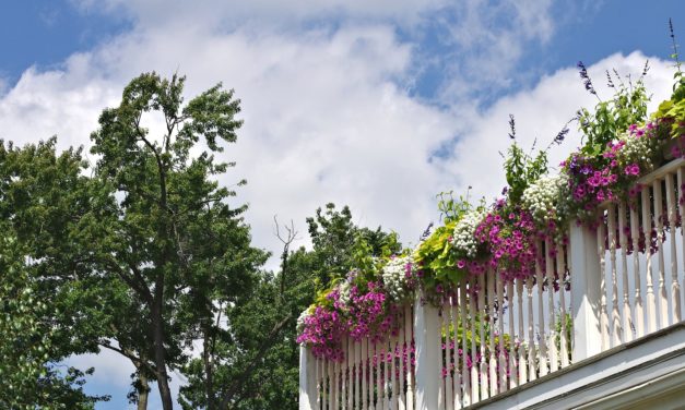 Zaczarowany ogród – zaczarowany balkon